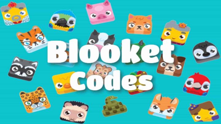 Play Blooket Code